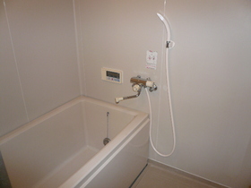 Bath. Hot water (with additional heating function)