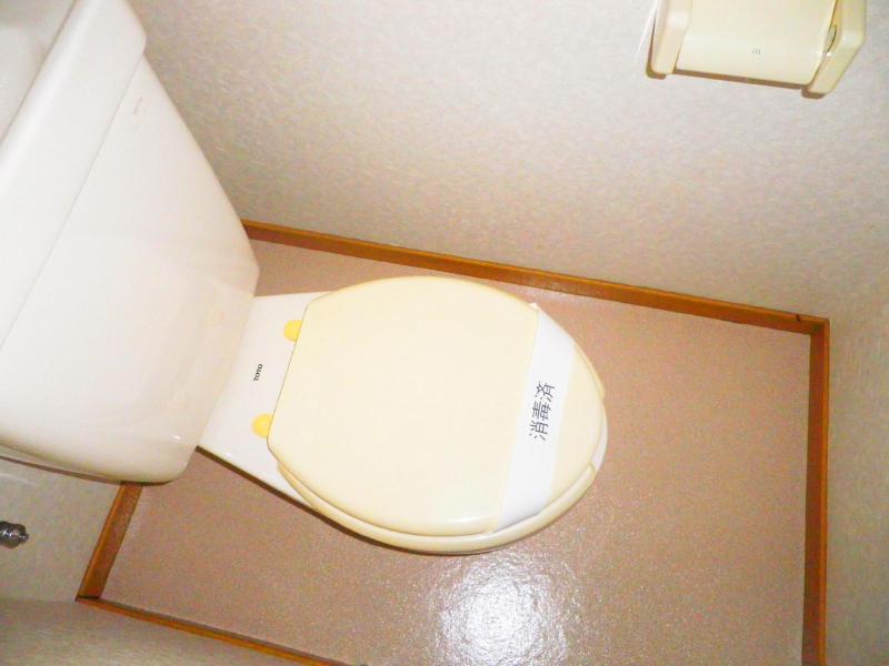 Other. Toilet shiny