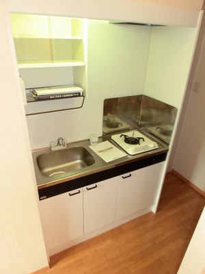 Kitchen. System kitchen