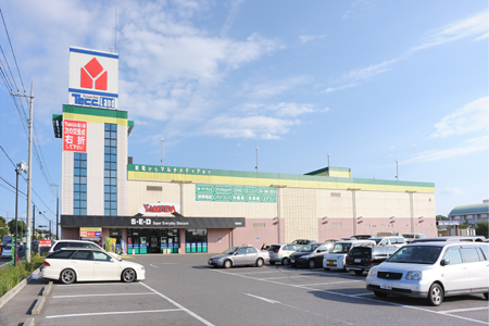 Shopping centre. Yamada Denki Tecc Land Shonan Kashiwaten until the (shopping center) 2900m