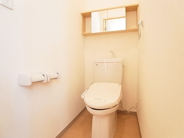 Toilet. The model property