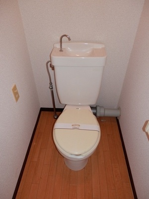 Toilet. Toilet