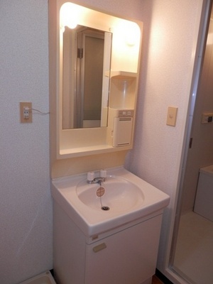 Washroom. Bathroom vanity