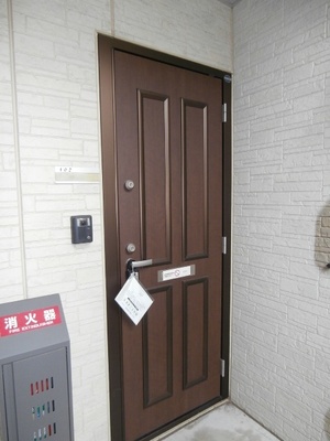 Entrance. Entrance door