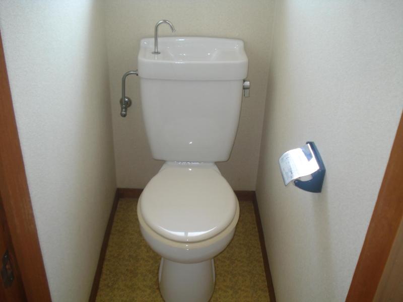 Toilet. Toilet shiny! !