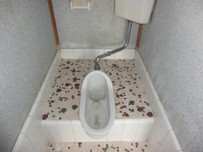 Toilet. Clean toilet!