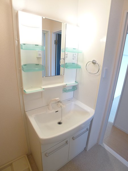 Washroom. Bathroom Vanity