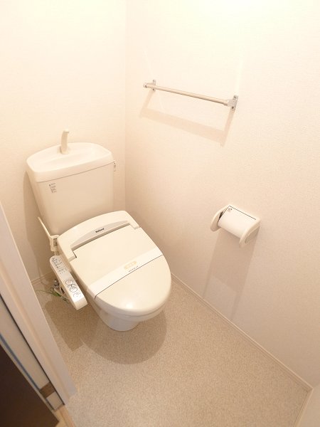 Toilet. With hot water cleaning function