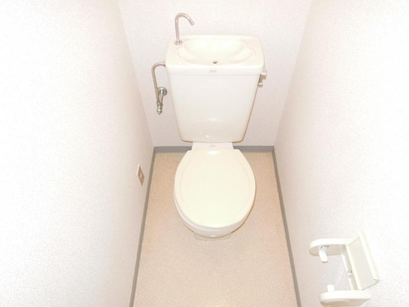 Toilet. Beautiful toilet