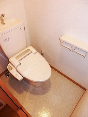 Toilet. Washlet toilet