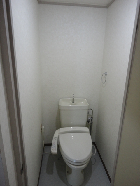 Toilet. Happy is with a bidet