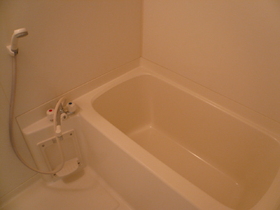 Bath. With bathroom ventilation dryer