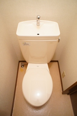 Toilet. The room is a picture