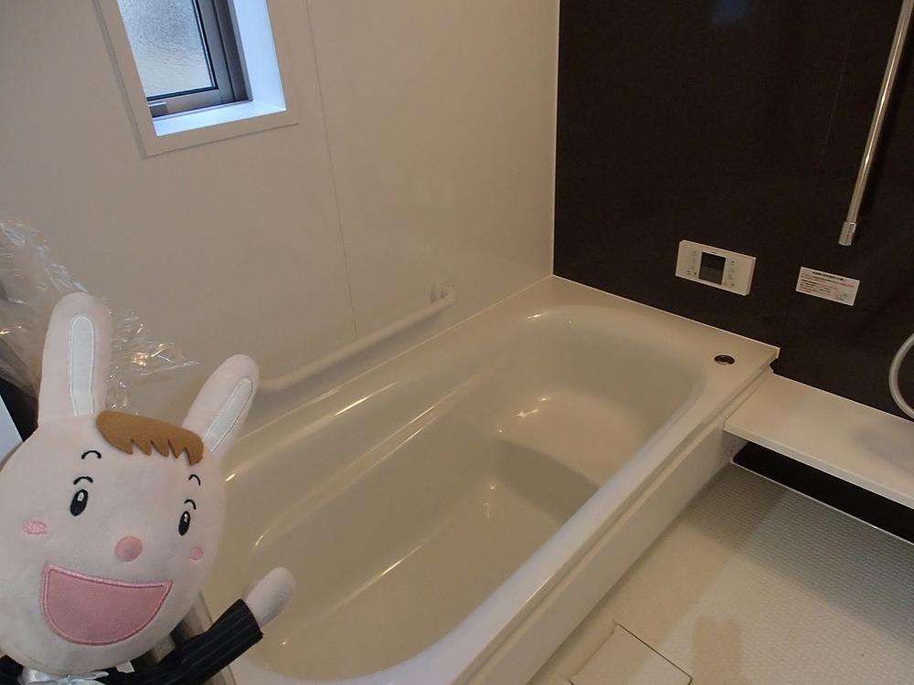 Bathroom. Interior (December 2, 2013) Shooting