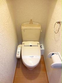 Toilet. Hot-water washing machine !!