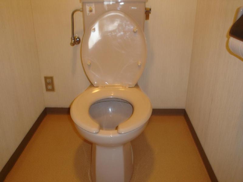 Toilet. Toilet shiny
