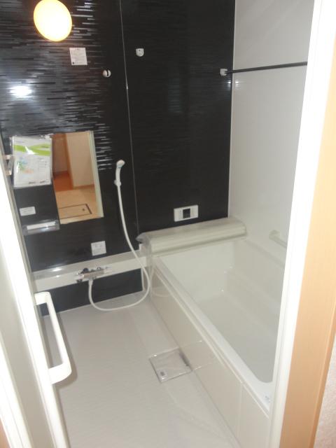 Bathroom. Indoor (10 May 2013) Shooting