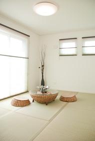 Other introspection. Japanese style room