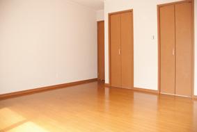 Other introspection. 2F Western-style