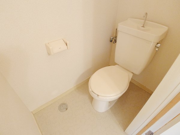 Toilet. Toilet