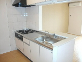 Kitchen. System Gasukitchin.