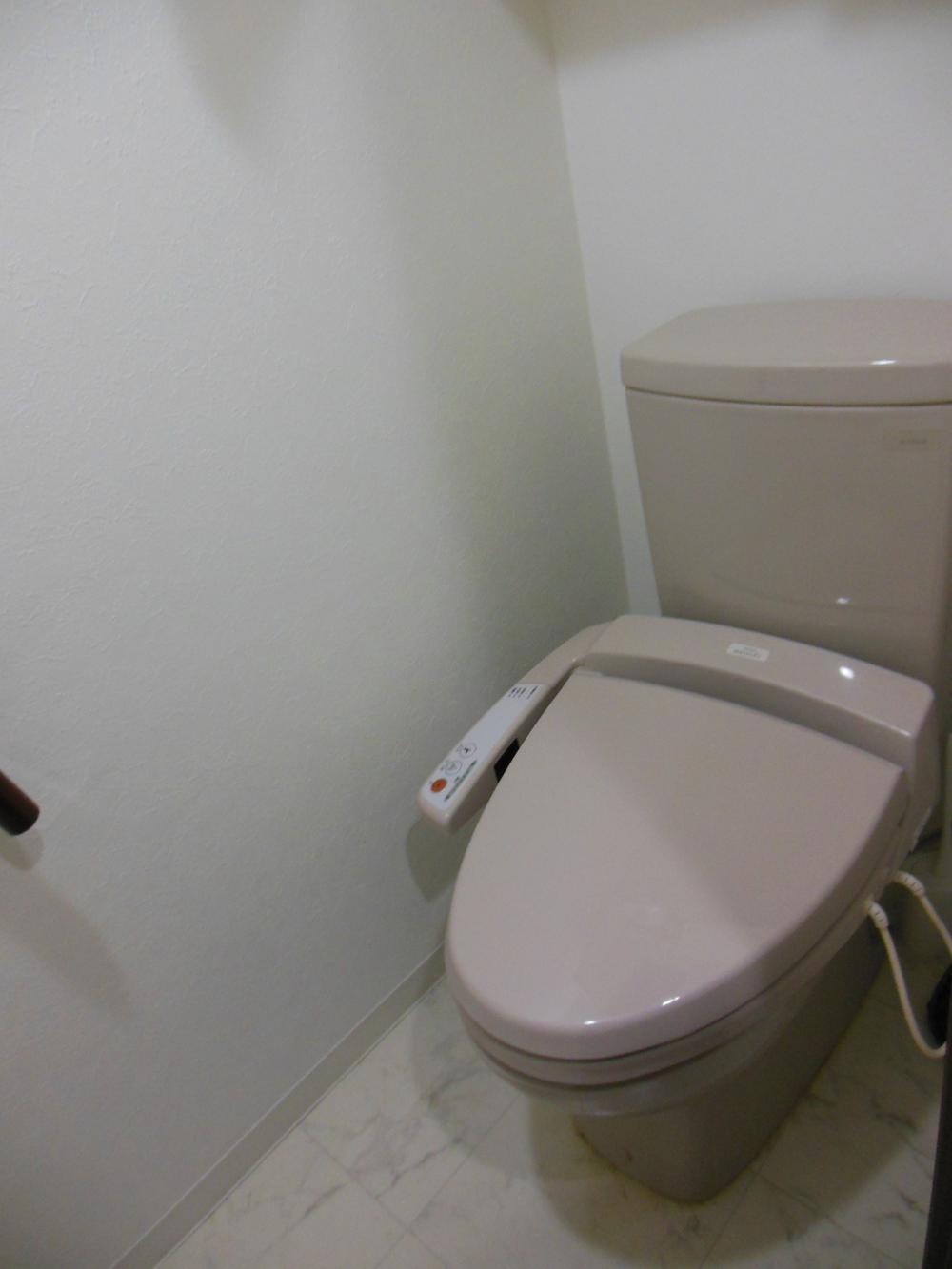 Toilet. Toilet (January 2014) Shooting