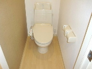 Toilet. With bidet (image)
