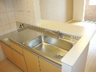 Kitchen. Sink size (image)