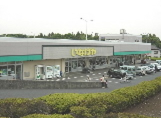 Supermarket. 1000m until Inageya Kashiwa Minamimasuo store (Super)