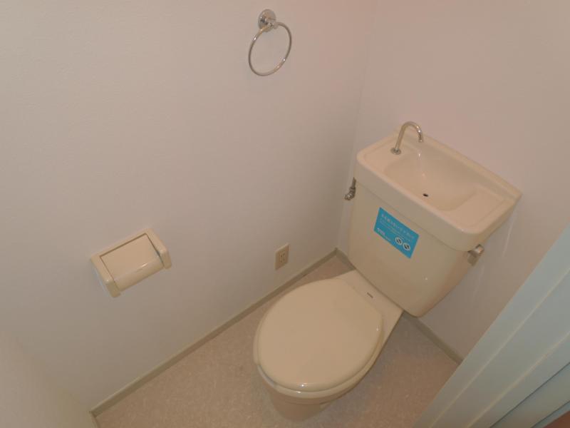 Toilet. Clean toilet
