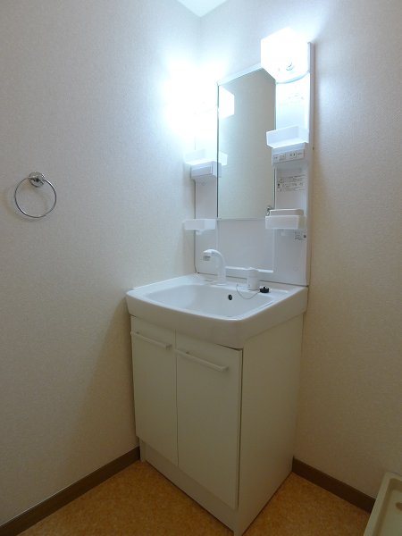 Washroom. Bathroom Vanity