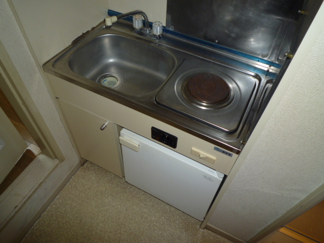 Kitchen. Living alone a strong ally System kitchen Mini fridge