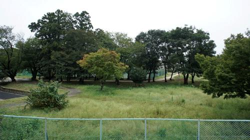 View photos from the dwelling unit. 1 Building view from the balcony (10 May 2013) Shooting