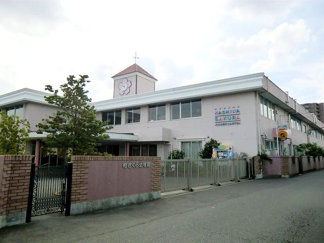 kindergarten ・ Nursery. 585m to Kashiwa Sakura kindergarten