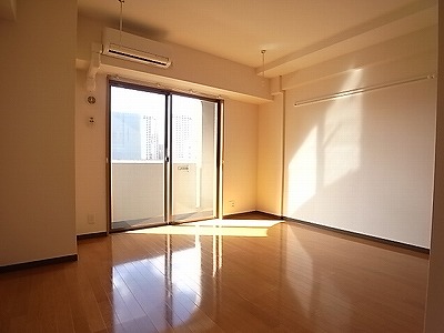 Living and room. Living
