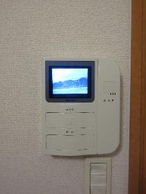 Other. Monitor with intercom