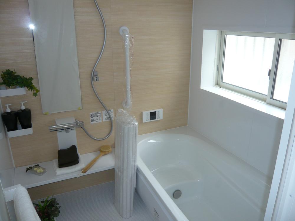 Bathroom. Indoor (12 May 2013) Shooting