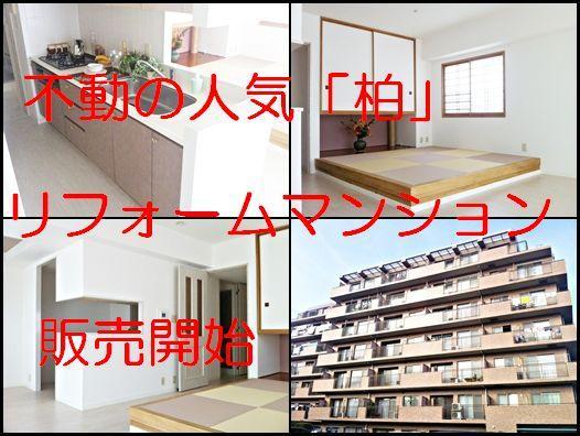 Other. ~ Popular Kashiwa area ・ Large condominium sales start ~