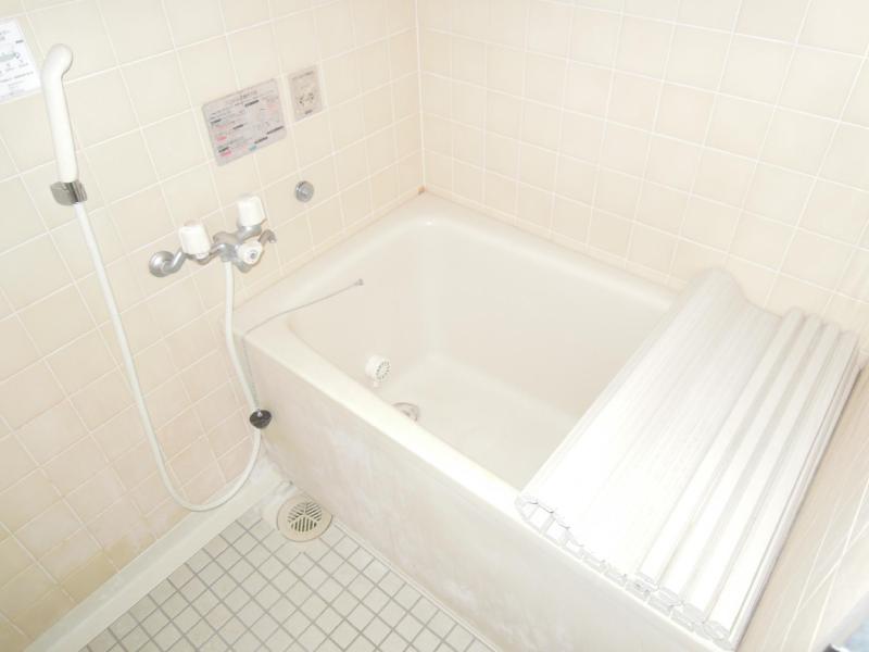 Bath. Beautiful bathroom.