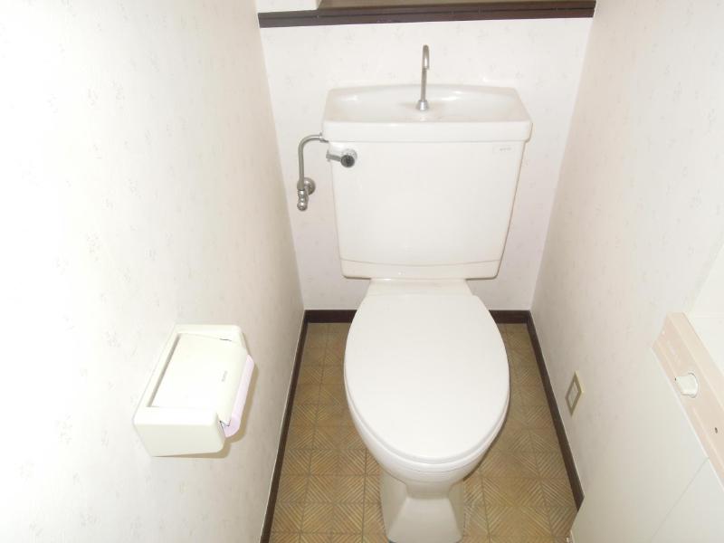 Toilet. Beautiful toilet.