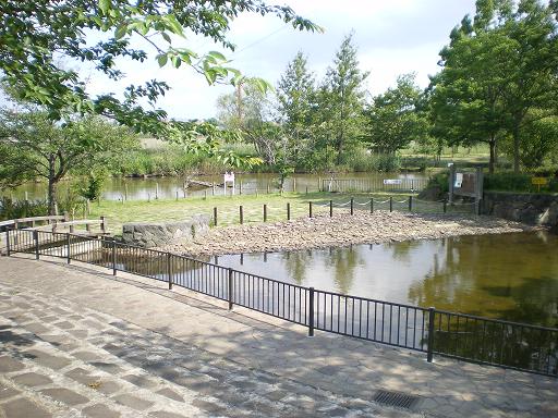 park. 947m until Kitakashiwa Furusato Park (park)
