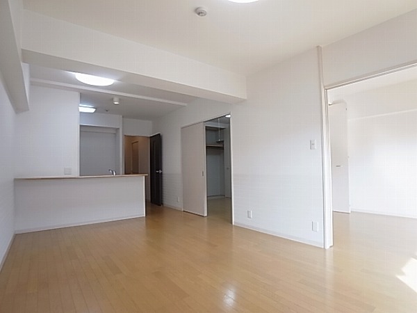 Living and room. Living