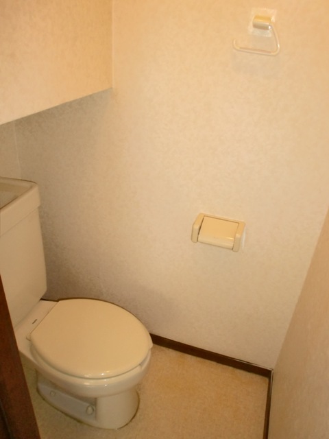 Toilet. It is plain easy to use there is a small shelf