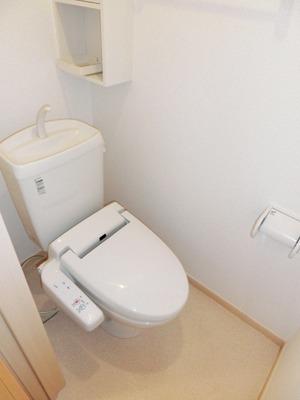 Toilet. Washlet toilet
