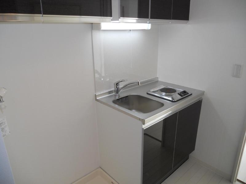 Kitchen. It would be a good kitchen of the mirror finish ww