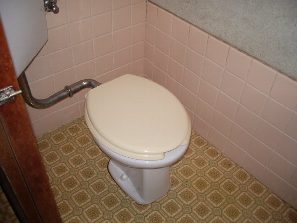 Toilet