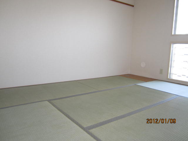 Other room space. Japanese style room