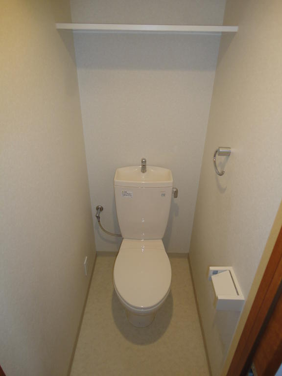 Toilet. It is with a shelf