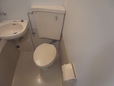 Toilet. Beautiful toilet.