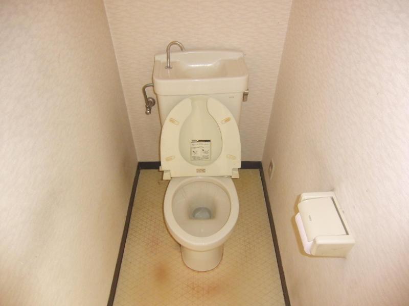 Toilet. Clean toilet!